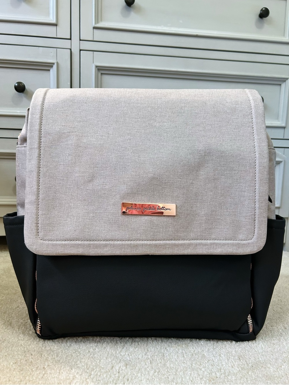 Petunia Pickle Bottom Diaper Bag 👶🏻